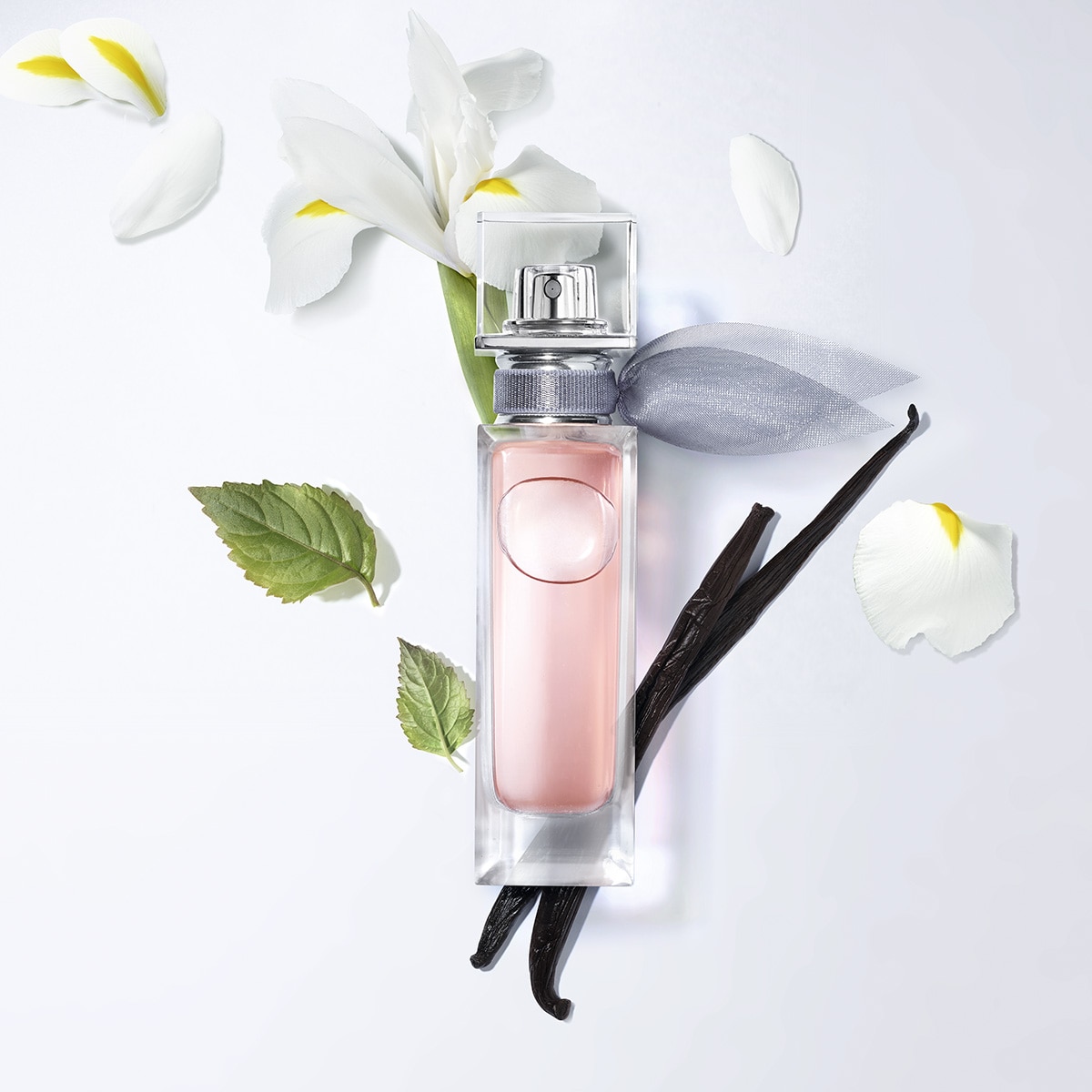 LA VIE EST BELLE EAU DE PAFRUM
